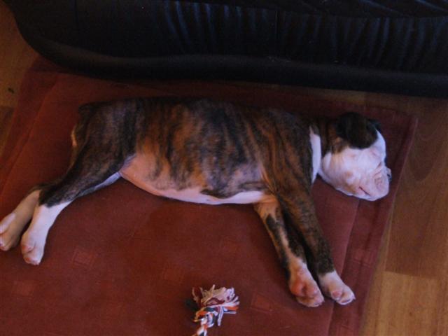 Tired1