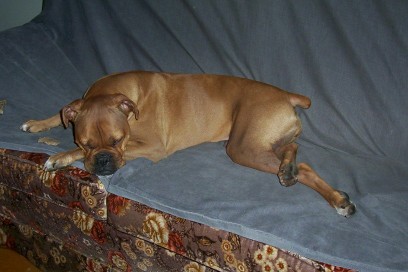 tired_out_2