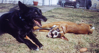 Tito & Emma telling jokes.
