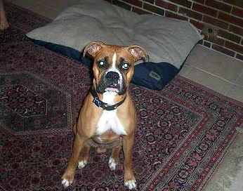 tito_2