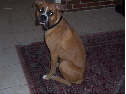 tito_2_2
