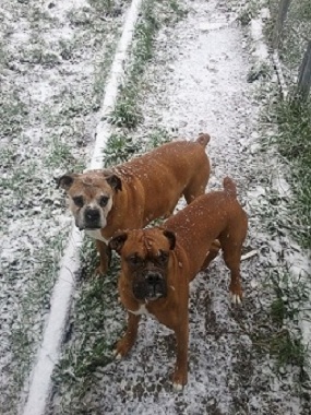 Titon&Coby