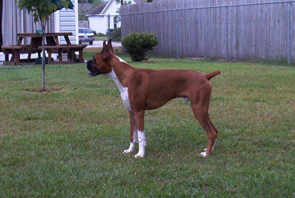 Titus at 9 mths old