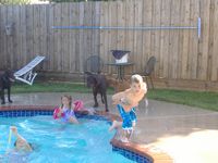 tn_gracie_boss_001