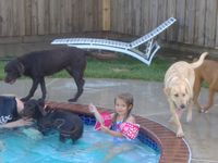 tn_gracie_boss_002