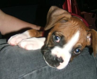 *~To Cute~*