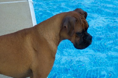 "To jump, or not to jump?"?