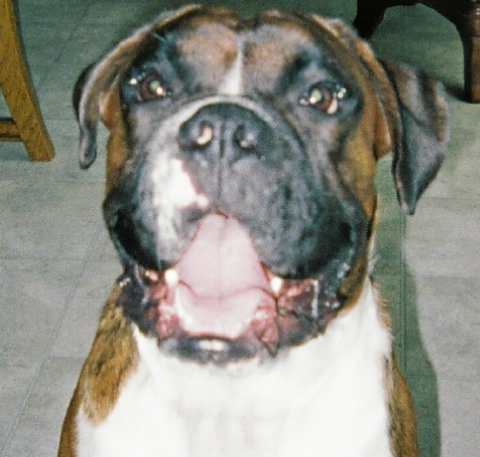 Tobie Smiles!!