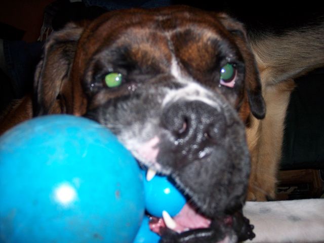 Tobie W-Cuz