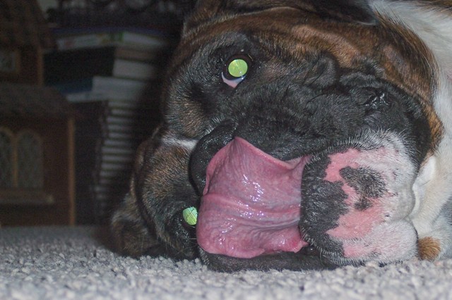Tobie's Tongue