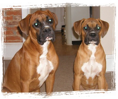 Toby and Annabelle