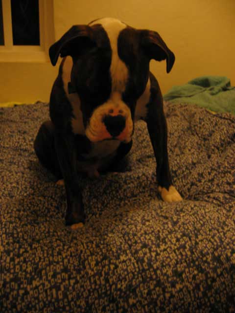Toby looking dejected