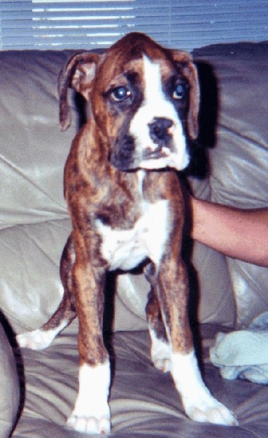 Toby's First Days With Us