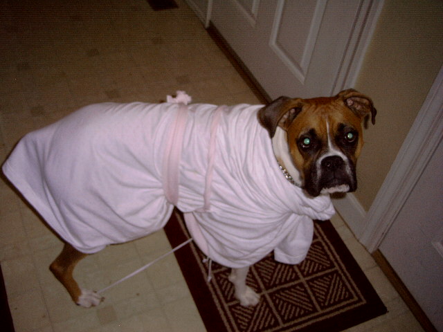 Toga Party!!!