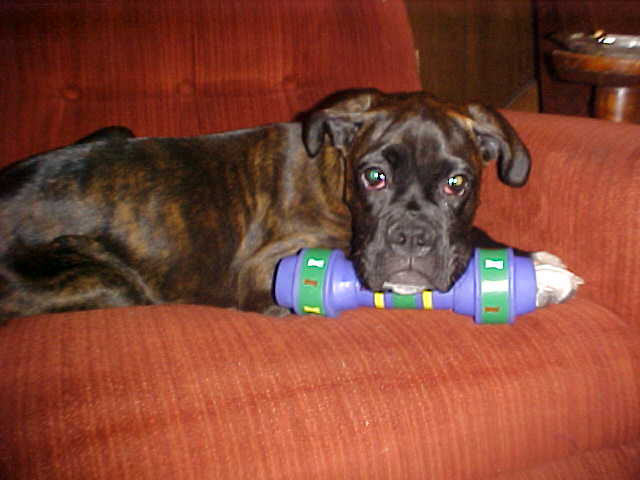 Told U Its Mine