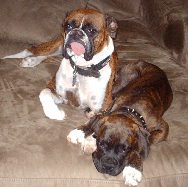 Tongue action