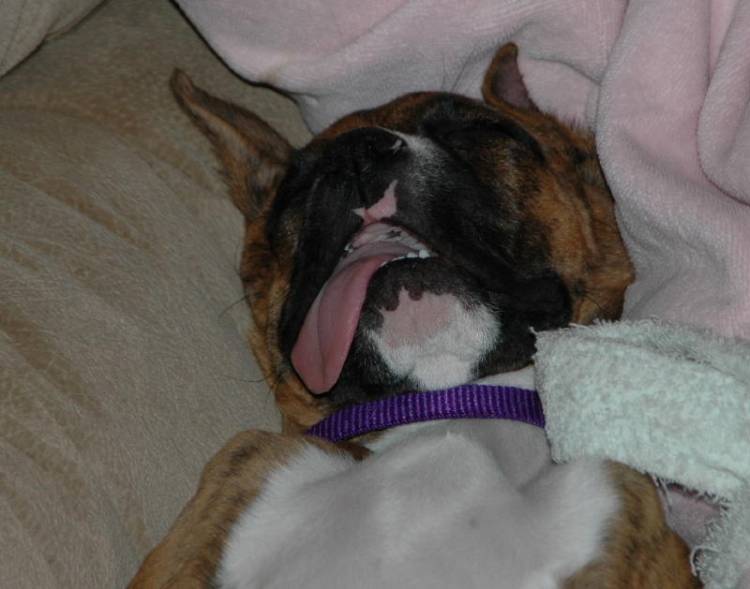 Tongue girl