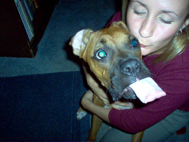 Tongue on Auto-Pilot!