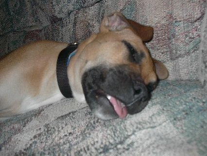 Tongue Out