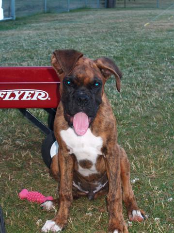tongue shot