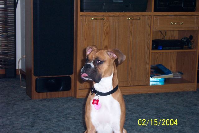 tongue!!!!!!!!!!!
