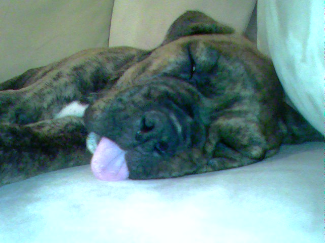 tongue2