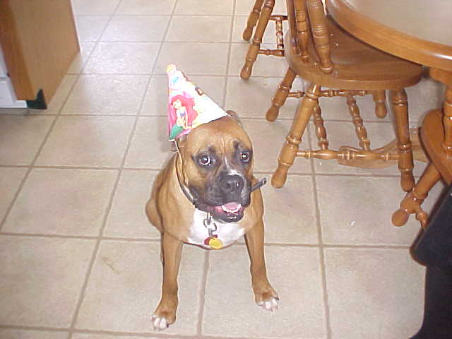 Toni in her birthday hat