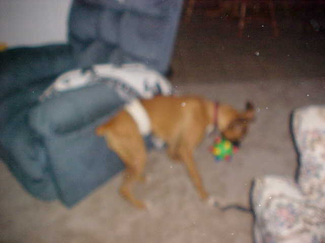 Toni in Motion
