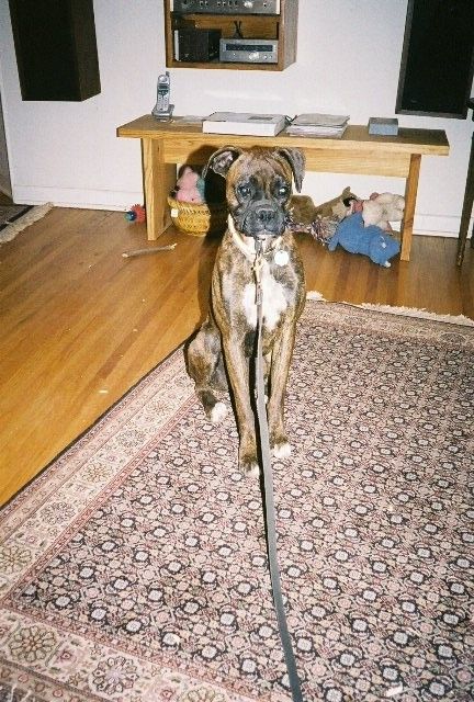 Tonks