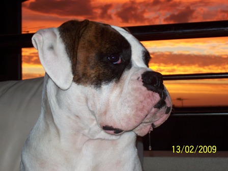 Tonto drool 1