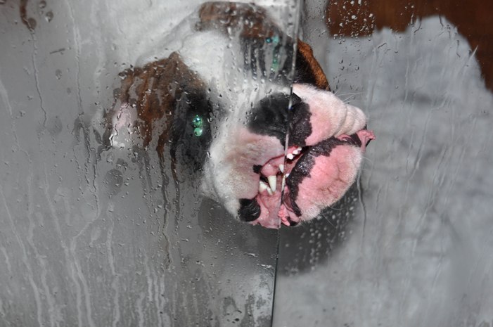tonto's scary shower scene