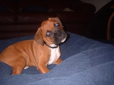 Too cute for words!