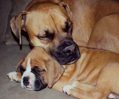Too cute!