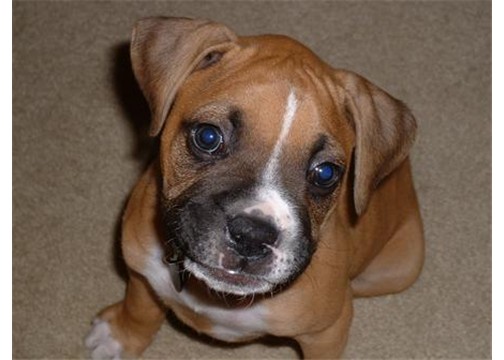 too cute