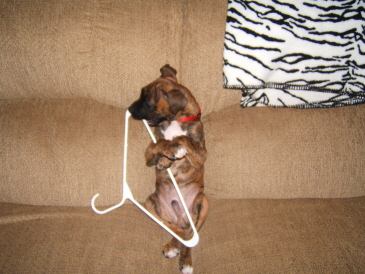 Too Cute!