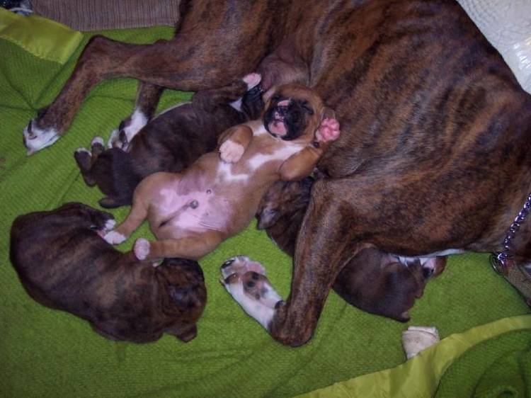 Too Cute!!