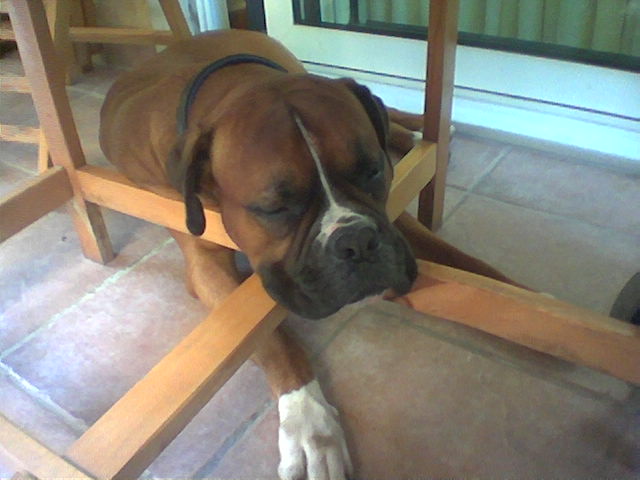 too darn hot!