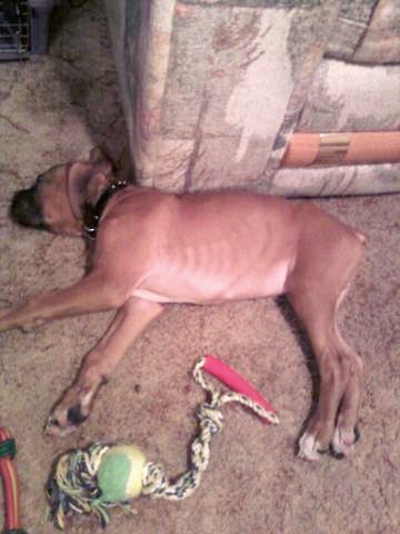 too much playing