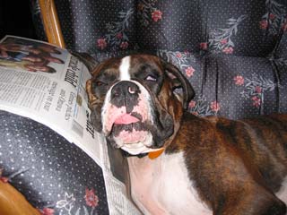 Too much to drink!?