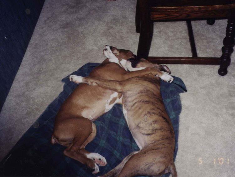 Too Sweet