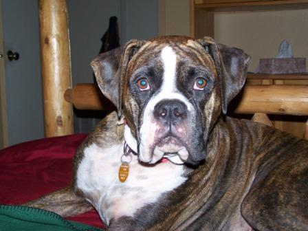 Toots at 2 years