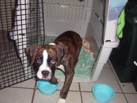 Toots crate