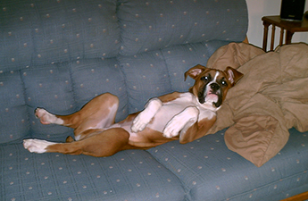 Total relaxation