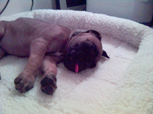 Touchdown Asleep