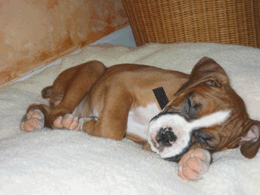 Tough Day