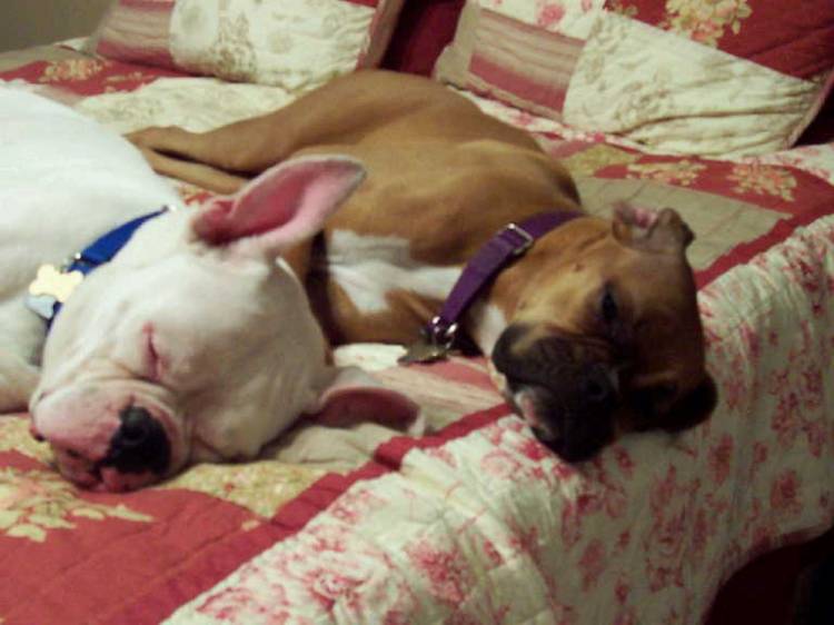 tough day!