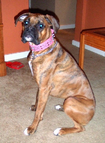 Tough Girl