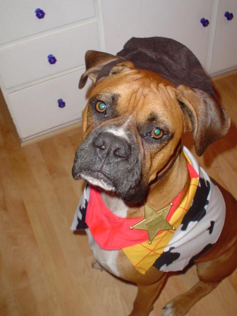 tough guy