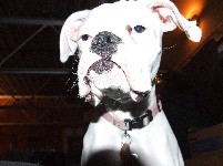 toughgirl