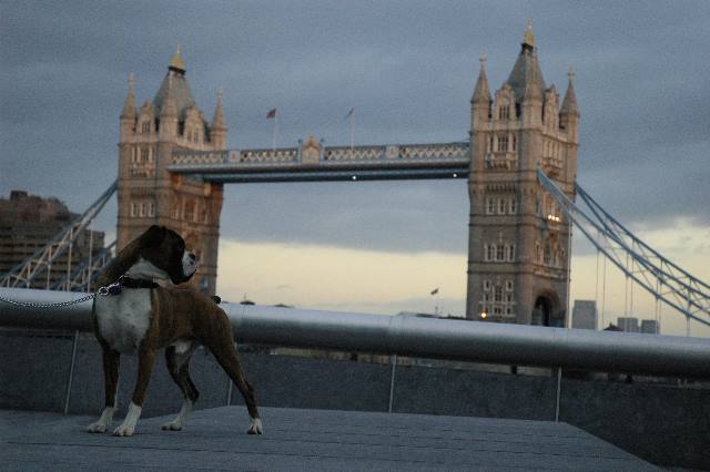Tower Bridge